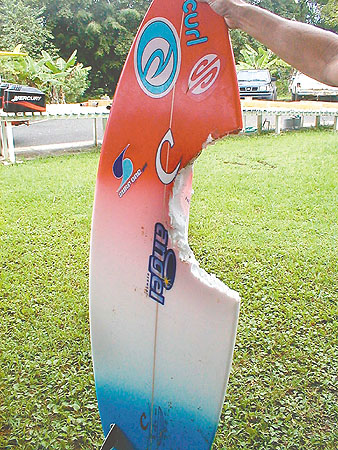 The surfboard that was destroyed by the shark. (http://the.honoluluadvertiser.com/article/2003/Nov ())